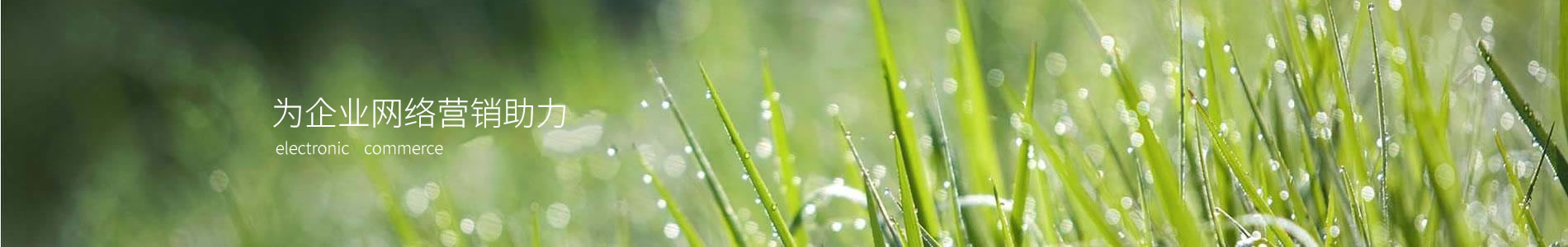 -ɷݿƼ޹˾